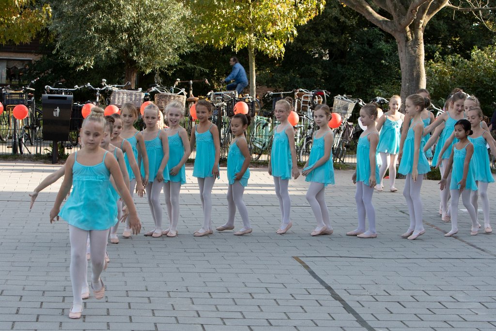 Schoolplein Festival A037.jpg
